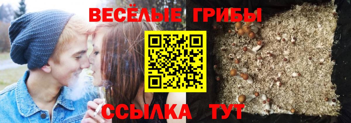 Псилоцибиновые грибы MAGIC MUSHROOMS Лабытнанги