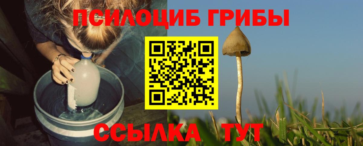 Галлюциногенные грибы MAGIC MUSHROOMS  Вход с VPN  Лабытнанги 